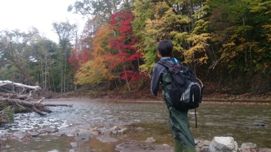 釧路紅葉の中で渓流釣り